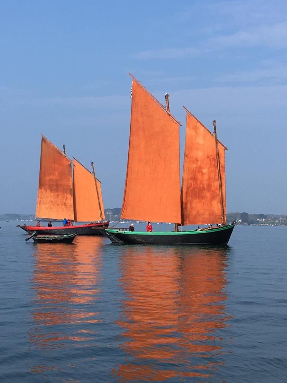 1 2 3 Chambres Entre La Presqu Ile De Rhuys Et Le Golfe Du Morbihan Theix Экстерьер фото